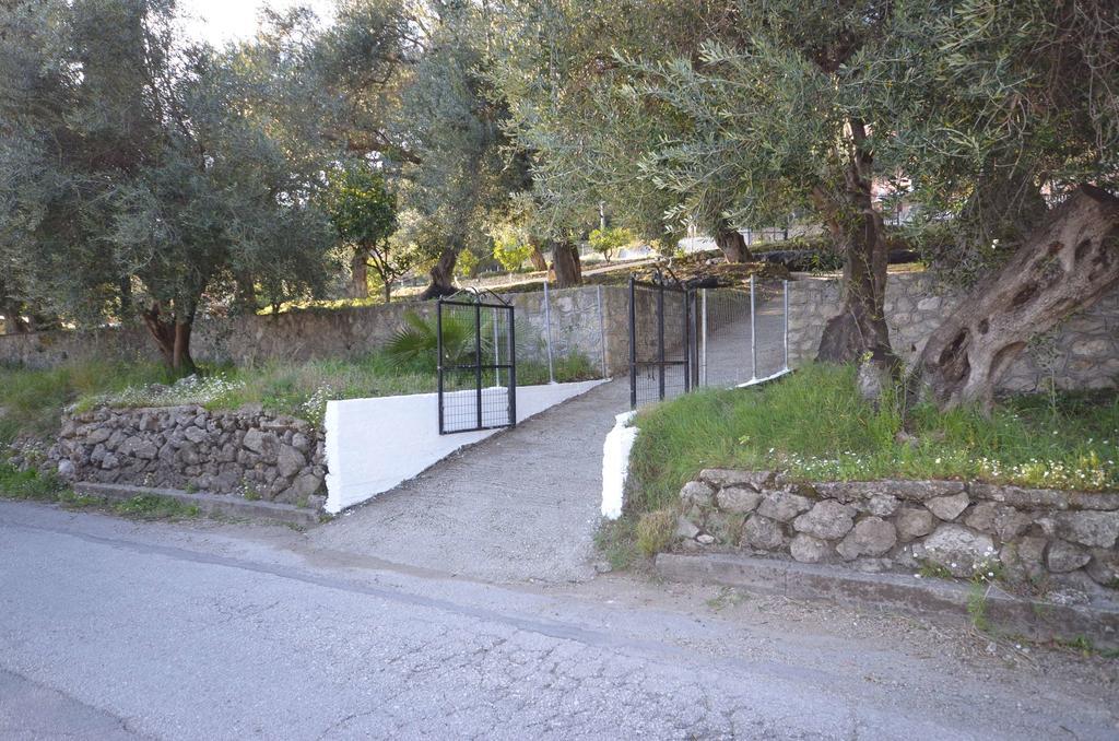 Lisipio Studios By Eleni Paleokastritsa Exterior photo